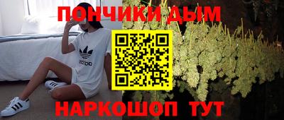 ПСИЛОЦИБИНОВЫЕ ГРИБЫ Кингисепп