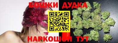 ПСИЛОЦИБИНОВЫЕ ГРИБЫ Кингисепп
