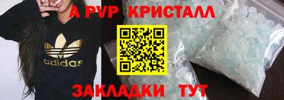 ПСИЛОЦИБИНОВЫЕ ГРИБЫ Кингисепп