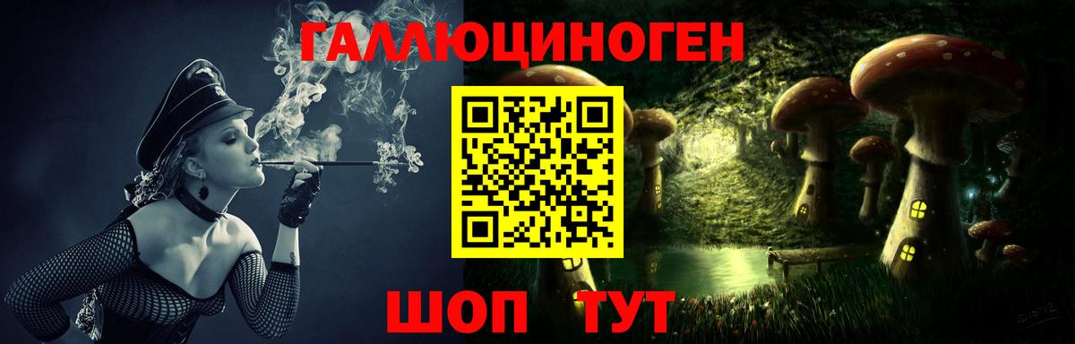 Псилоцибиновые грибы Psilocybine cubensis  цена   Кузнецк  Вход с VPN 